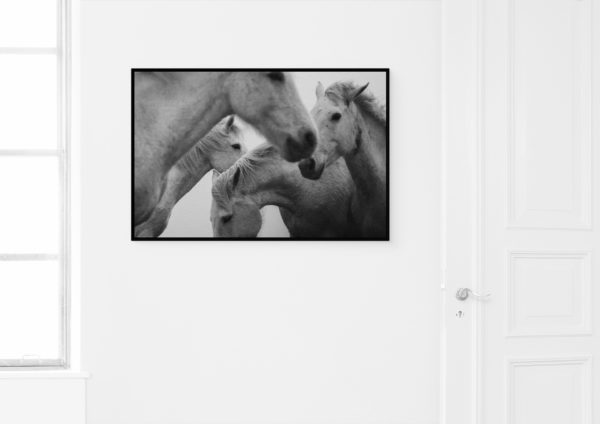 Floating-Minimal-frame-23