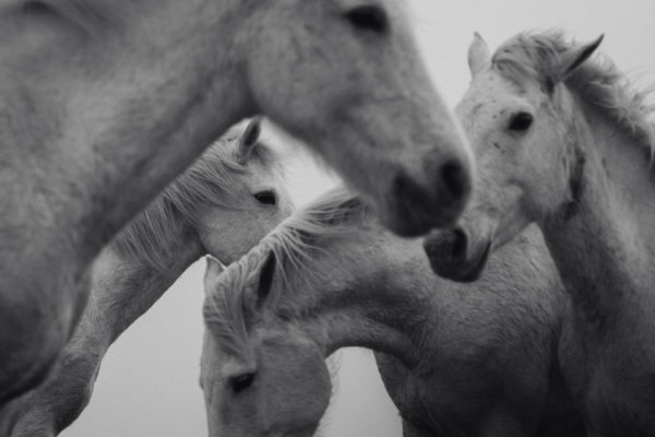 LaraBaeriswyl_DSC09436_web